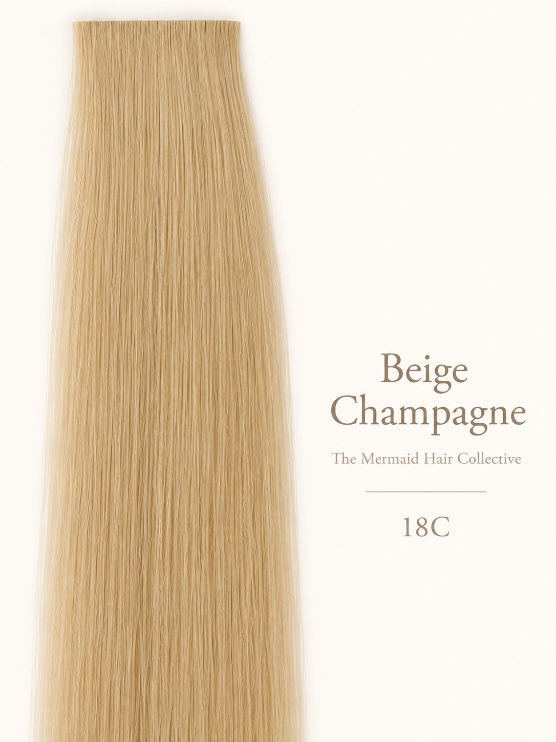 Beige Champagne — #18C