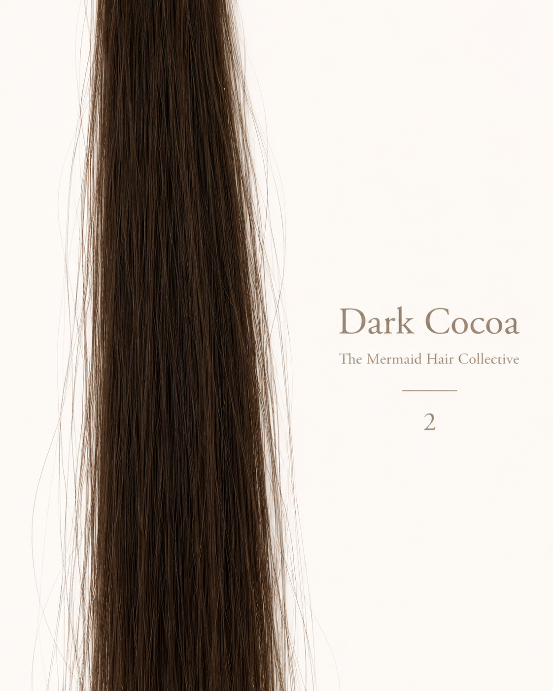 Dark Cocoa — #2