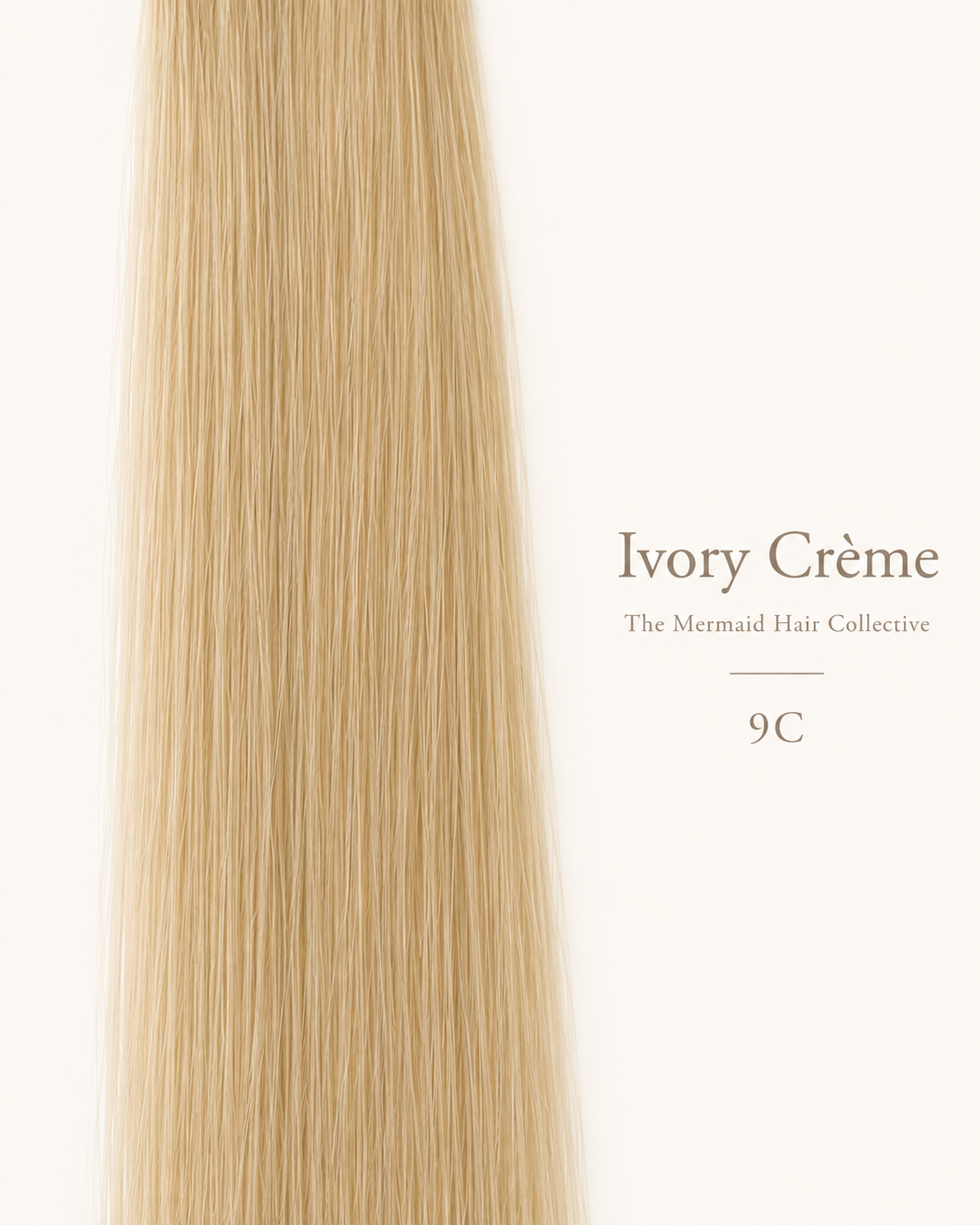 Ivory Crème — #9C