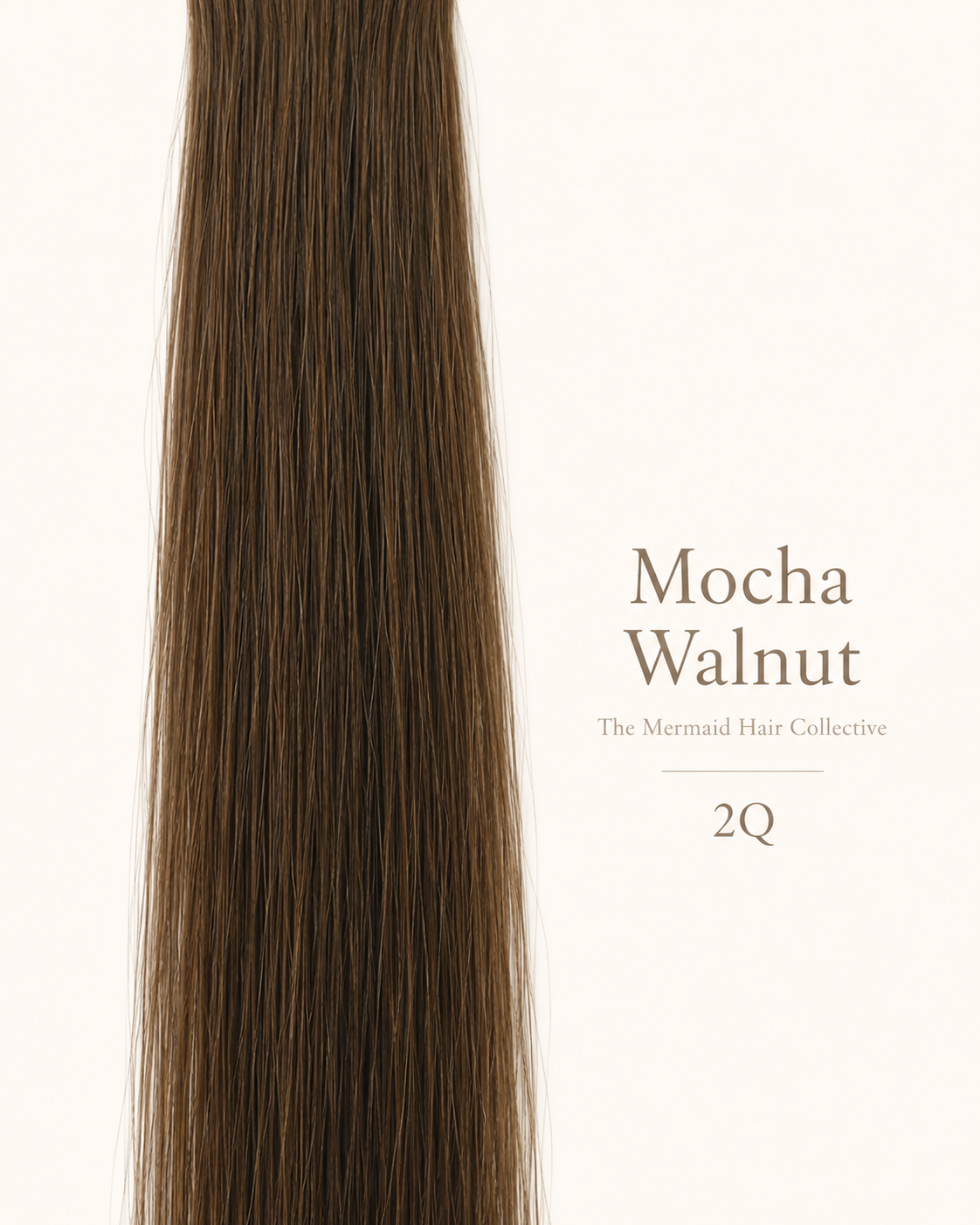Mocha Walnut — #2Q