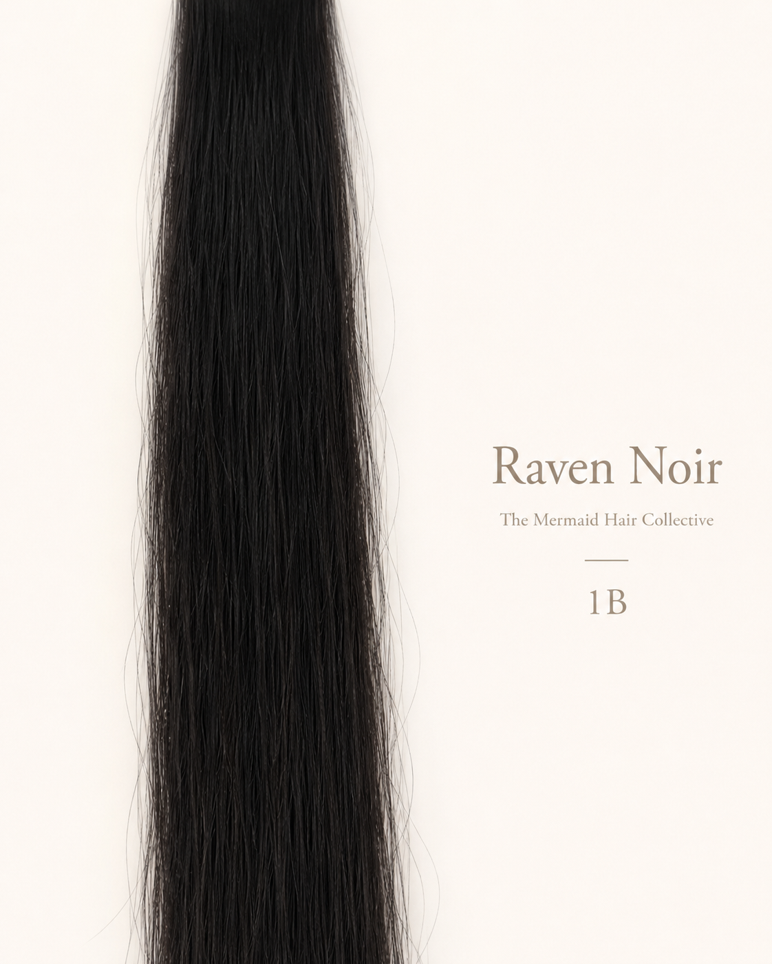 Raven Noir — #1B