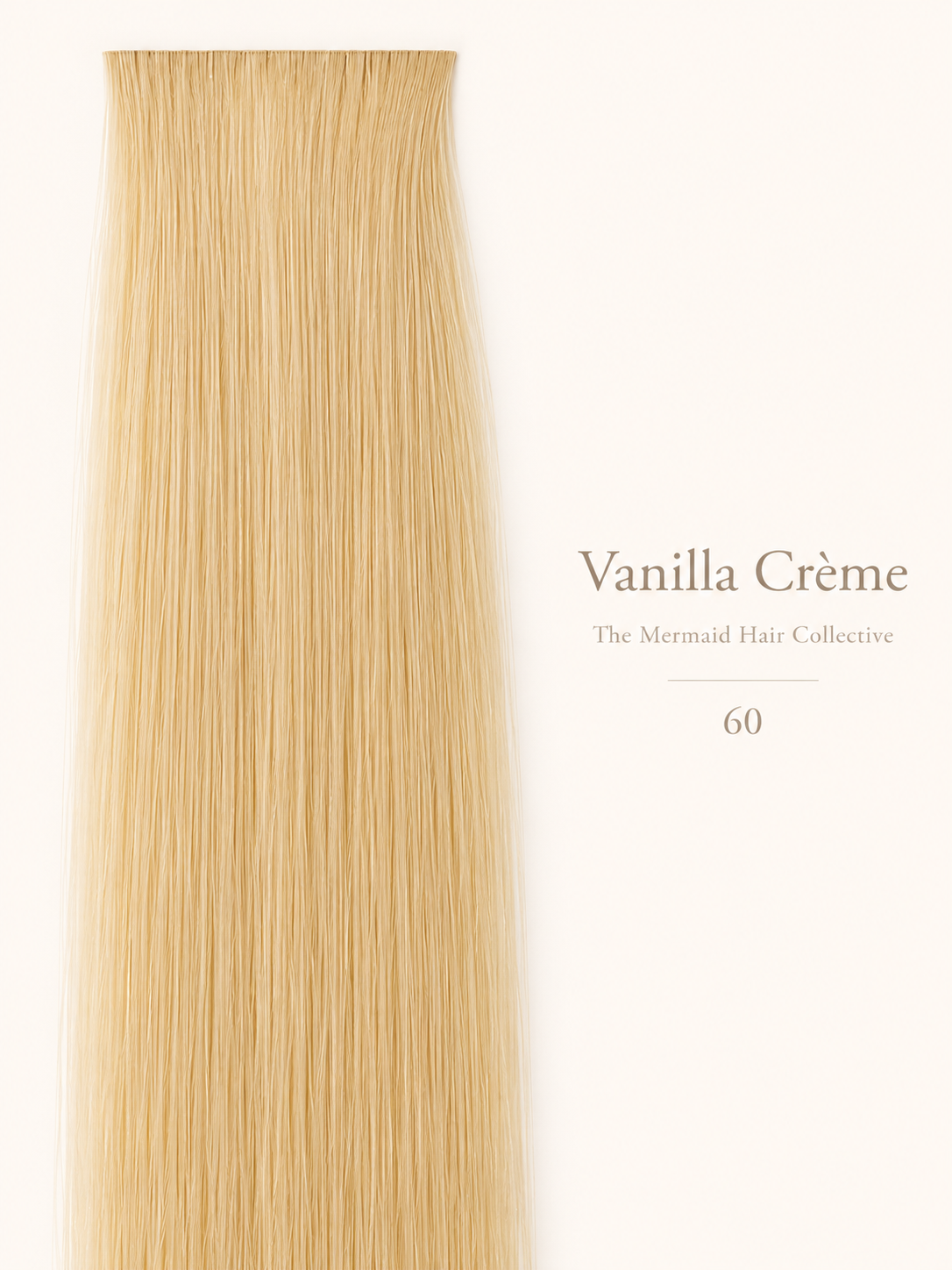 Vanilla Crème — #60
