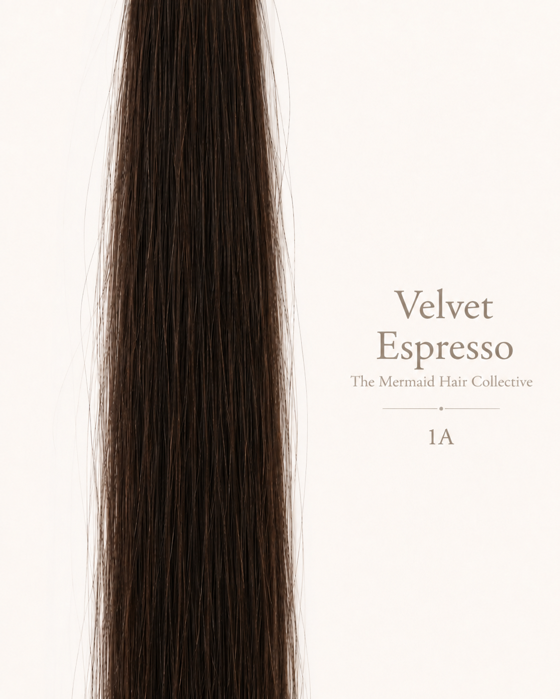 Velvet Espresso — #1A