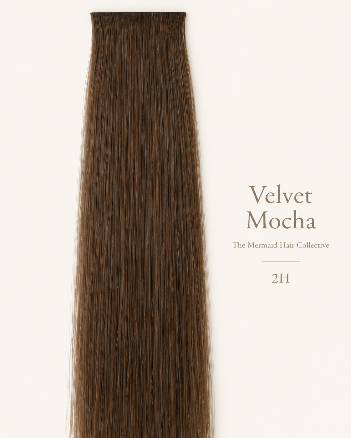 Velvet Mocha — #2H